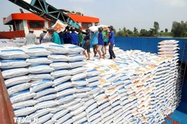 附图 图自越通社