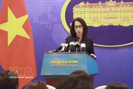 越南外交部发言人范秋姮 图自越通社