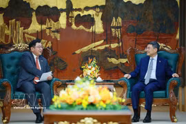 越南政府总理黎明兴会见辞行的马来西亚驻越大使 图自越通社