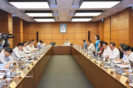 越南胡志明市国会代表团举行分组讨论。tu z越通社