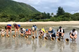 外国游客在胡志明市昆岛参加放归小海龟入海之旅，感到无比兴奋。图自sggp.org.jpg