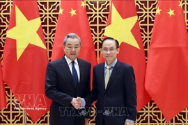 越南外交部长黎怀忠会见中国外交部长王毅。图自越通社