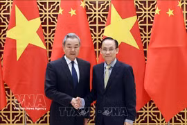 越南外交部长黎怀忠会见中国外交部长王毅。图自越通社