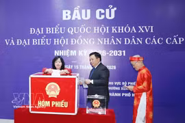 越南祖国阵线中央委员会主席裴氏明怀在河内市春顶坊第7投票区投票 图自越通社