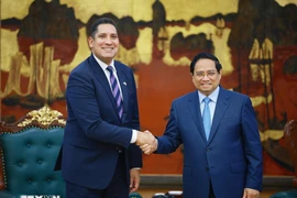 越南政府总理范明政在政府总部会见瑞典驻越南大使约翰·恩迪西 图自越通社