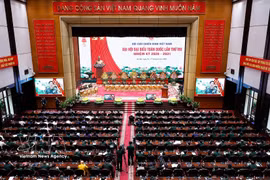 会议全景 图自越通社
