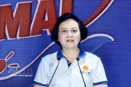 越南政府副总理范氏清茶 图自越通社
