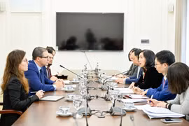 越南外交部副部长黎氏秋姮同马耳他外交与旅游部常务副部长举行会谈 图自越通社