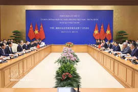 越中双边合作指导委员会第十七次会议场景 图自越通社