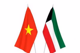 图自Pinterest 