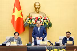 越南国会主席陈青敏发表讲话 图自越通社