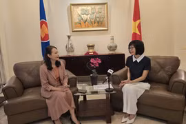 越南常驻东盟代表团团长孙氏玉香大使接受越通社驻雅加达记者的采访。图自越通社