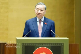 越共中央总书记苏林发表讲话 图自越通社