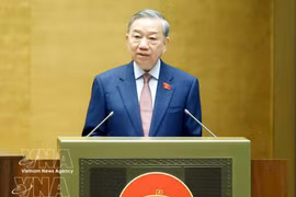 越共中央总书记苏林在越南第十六届国会第一次会议上发表讲话（全文 ）