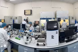 胡志明市国家大学所属国际大学生物技术实验室。图自越通社