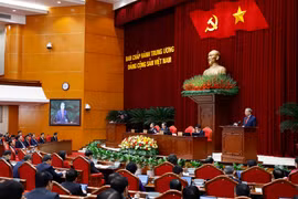 越共中央第十四届中央委员会第二次全体会议在河内隆重开幕 图自越通社