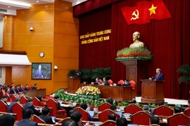 越共中央第十四届中央委员会第二次全体会议在河内隆重开幕 图自越通社