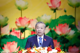 苏林总书记在大会上发表讲话 图自越通社