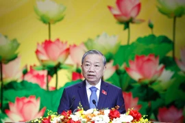 苏林总书记在大会上发表讲话 图自越通社