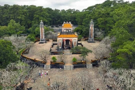 中部遗产在可持续发展之路上焕发新生光彩