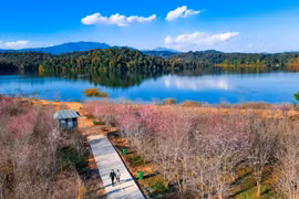 越南旅游业：将机遇转化为优势