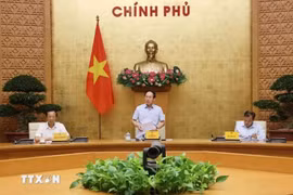 越南政府副总理、边境乡学校建设指导委员会主任黎进珠发表讲话。图自越通社。