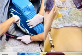 S.N乘坐自南美出发的航班，在越南过境，计划继续转机前往第三国。图自越通社