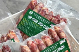 附图 图自越通社