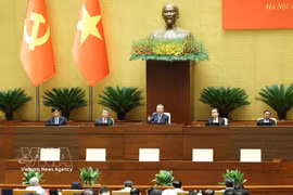 会议全景 图自越通社