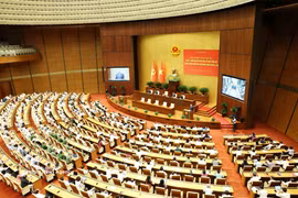 会议全景 图自越通社