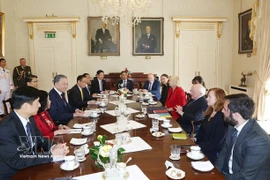 图片来源《国际报》2024年10月2日，越共中央总书记、国家主席苏林与爱尔兰总统迈克尔·希金斯在爱尔兰首都都柏林举行会谈。图自越通社