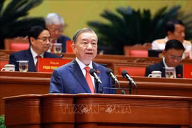 越共中央总书记、大会文件小组组长苏林作了越共中央第十三届中央委员会关于提交越共第十四次全国代表大会文件的报告 图自越通社