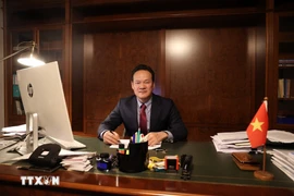 越南常驻日内瓦代表团团长梅潘勇大使 图自越通社