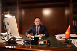 越南常驻日内瓦代表团团长梅潘勇大使 图自越通社