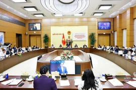 越南全国选举工作视频会议：全国3320个乡坊应用选民名单编制软件