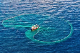 全力解除 IUU“黄牌”：迈向负责任的渔业发展 