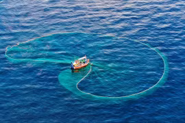 全力解除 IUU“黄牌”：迈向负责任的渔业发展 