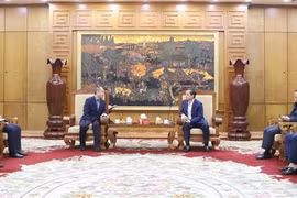 北宁省人民委员会主席范黄山在与中国晶澳太阳能集团（JA Solar）工作代表团举行会谈 图自越通社