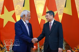 黎明兴总理主持东帝汶总理正式欢迎仪式 图自越通社