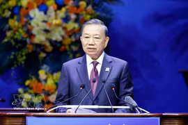 越共中央总书记、国家主席苏林