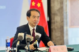 中国驻越南大使何炜 图自越通社