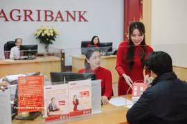 附图 图自越通社