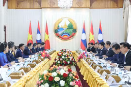 会见场景 图自越通社