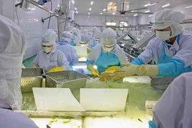 VietFarm的芦荟生产线 图自越通社 