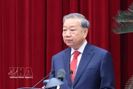 越共中央总书记苏林主持会议并致开幕词 图自越通社