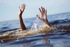 5名越南实习生在海上事故中落水 越南驻日本大使馆开展公民保护工作 