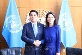 越南国家主席梁强会见第80届联大主席贝尔伯克 图自越通社