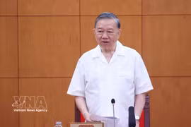 越共中央总书记、国家主席苏林发表讲话 图自越通社