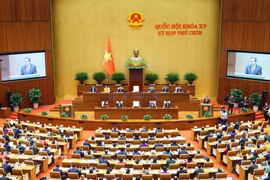 会议场景 图自越通社