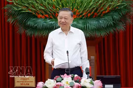 越共中央总书记、国家主席苏林主持召开指导委员会第一次会议 图自越通社